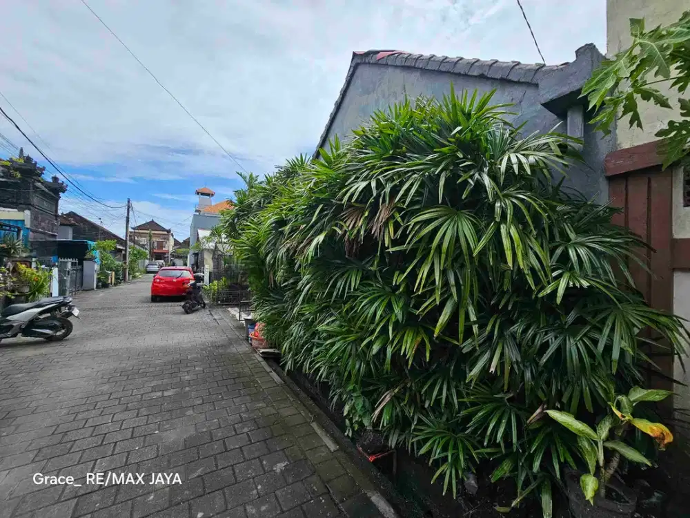 Tanah 3 Are di Area Teuku Umar Barat Denpasar