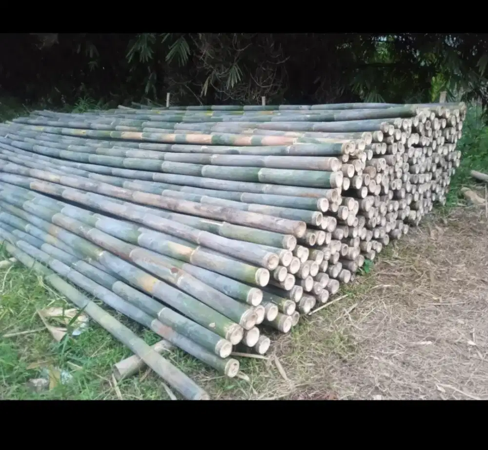 BAMBU ESTGER & BEGESTING