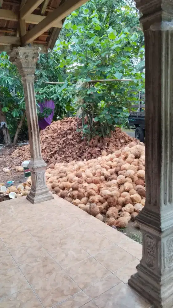 Jual batok kelapa Caca kering
