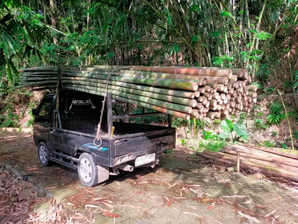BAMBU ESTGER BEGESTING