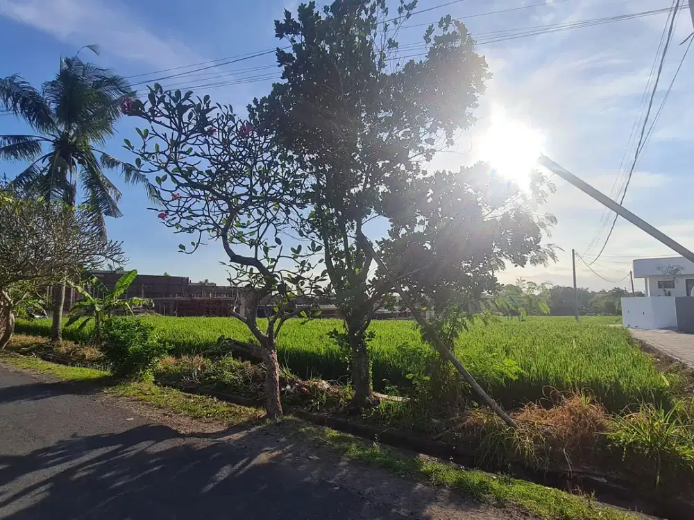 Disewakan Tanah Area Pererenan