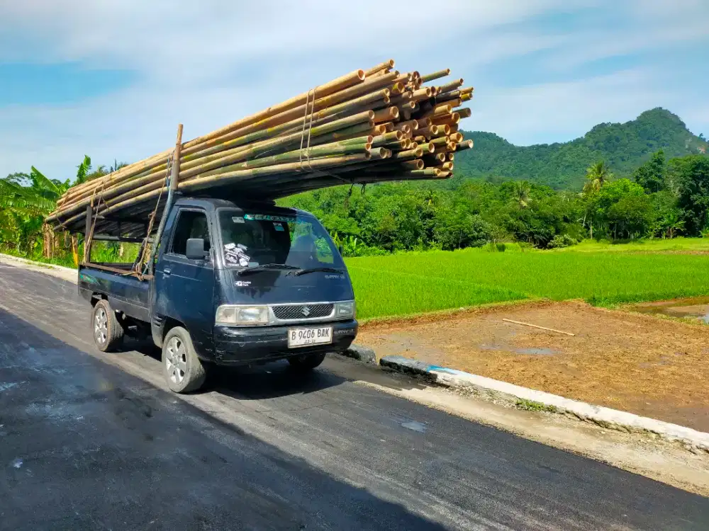 Bambu estger begesting