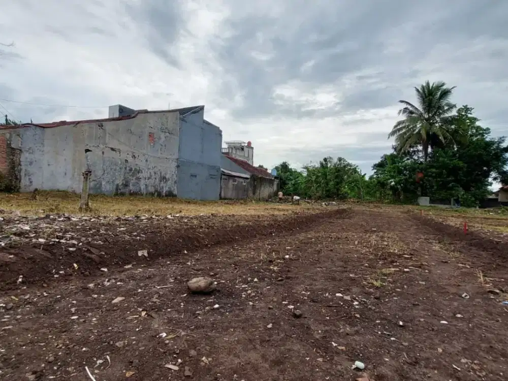 Tanah Kavling Murah Ciomas, Siap Bangun & Balik Nama SHM