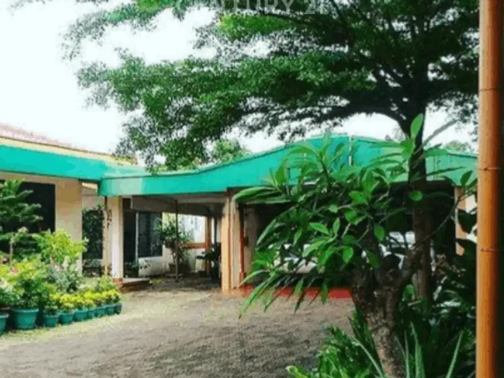 Dijual Rumah Dengan Taman Luas Classic Tropical Di Kebon Jeruk