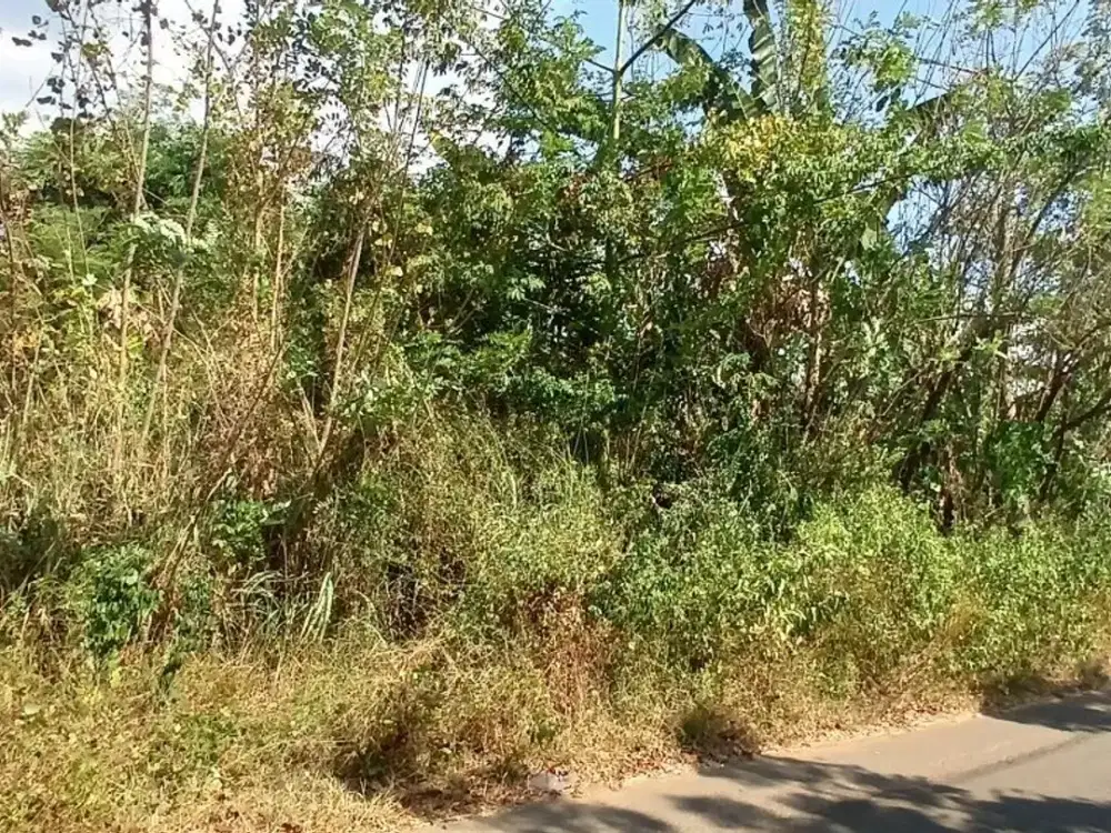 Dijual Tanah Di Nirannuang Gowa