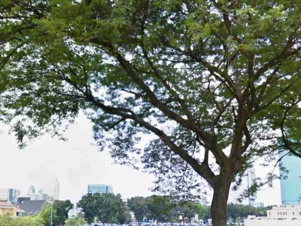 lahan kosong di Mega Kuningan Jakarta Selatan