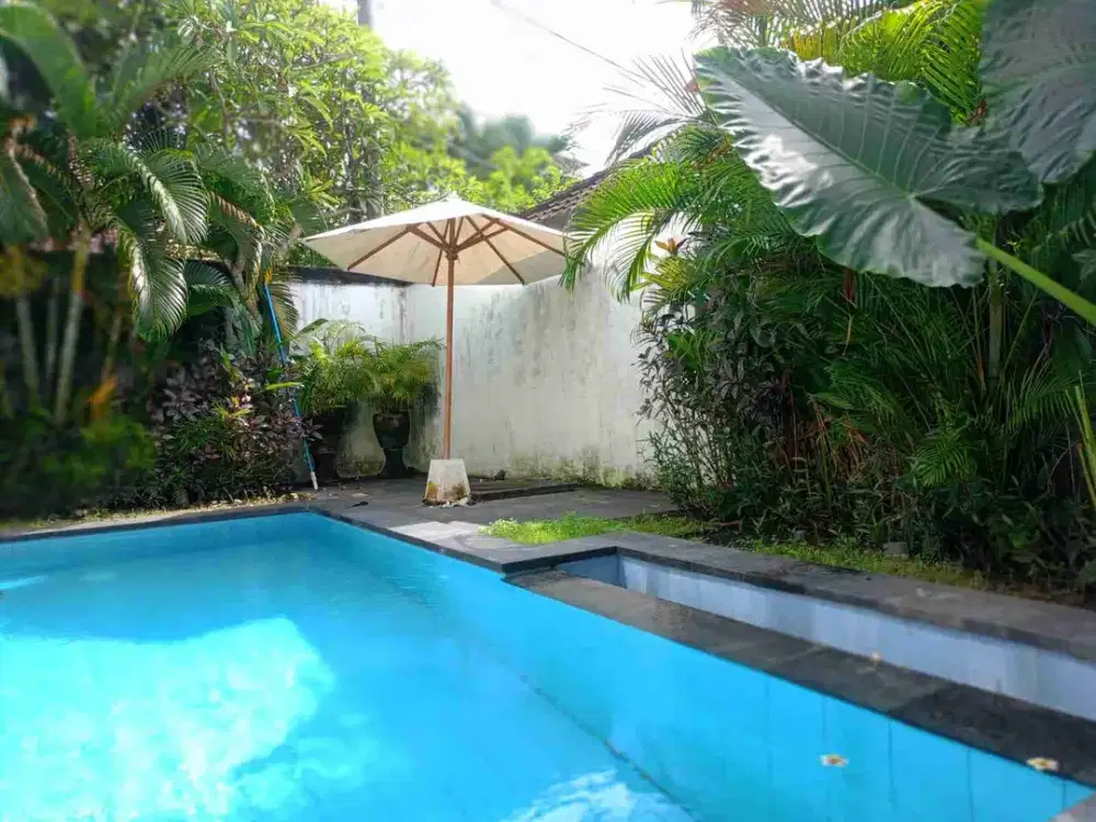 Villa Canggu Bali Siap Huni Fully Furnish - Thumbnail 7