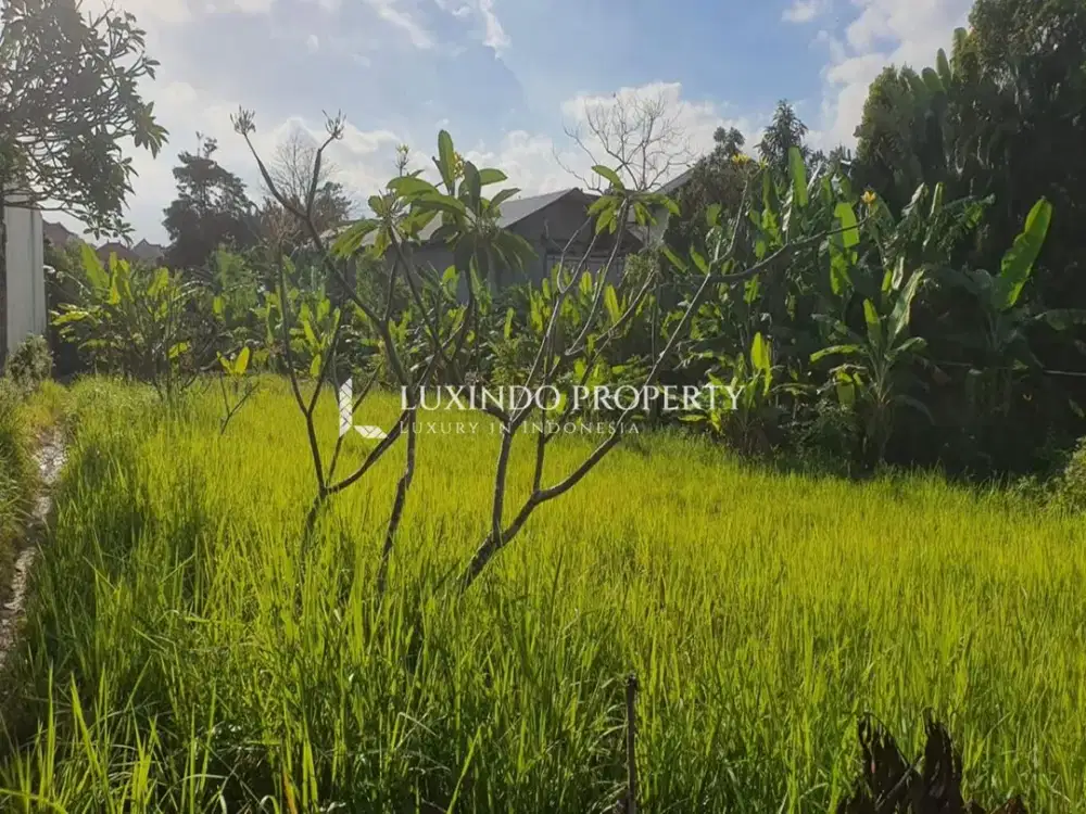 DISEWAKAN JANGKA PANJANG TANAH DENGAN LUAS 10 ARE DI CANGGU
