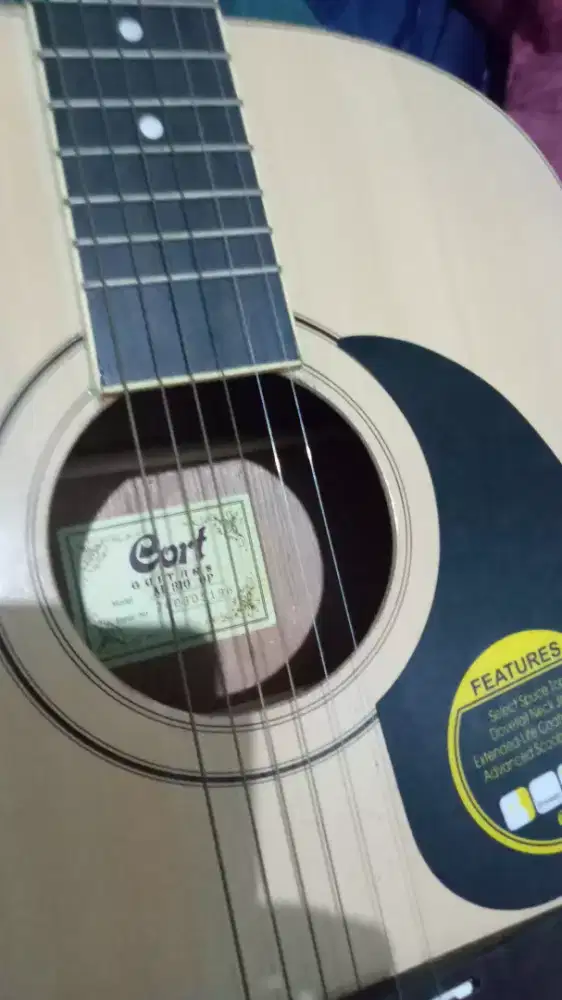 Jual gitar akustik cort ad 810 op custom