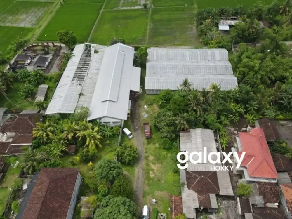 DIJUAL GUDANG GREEN HOUSE DI NEGARA