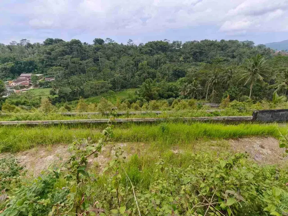 Tanah Produktif Cocok Untuk Wisata Agrowisata di Magelang