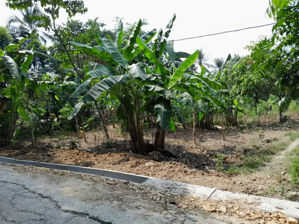 Dijual Tanah Luas 830 m2 Linggar Mukti Klapanunggal Bogor