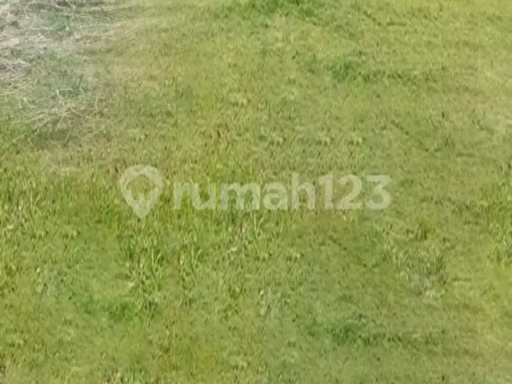 Dijual Tanah Sarua Arya Putra Ciputat, Tangerang Selatan, Banten