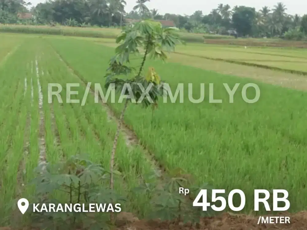 Dijual Tanah Persawahan Aktif Area Karanglewas