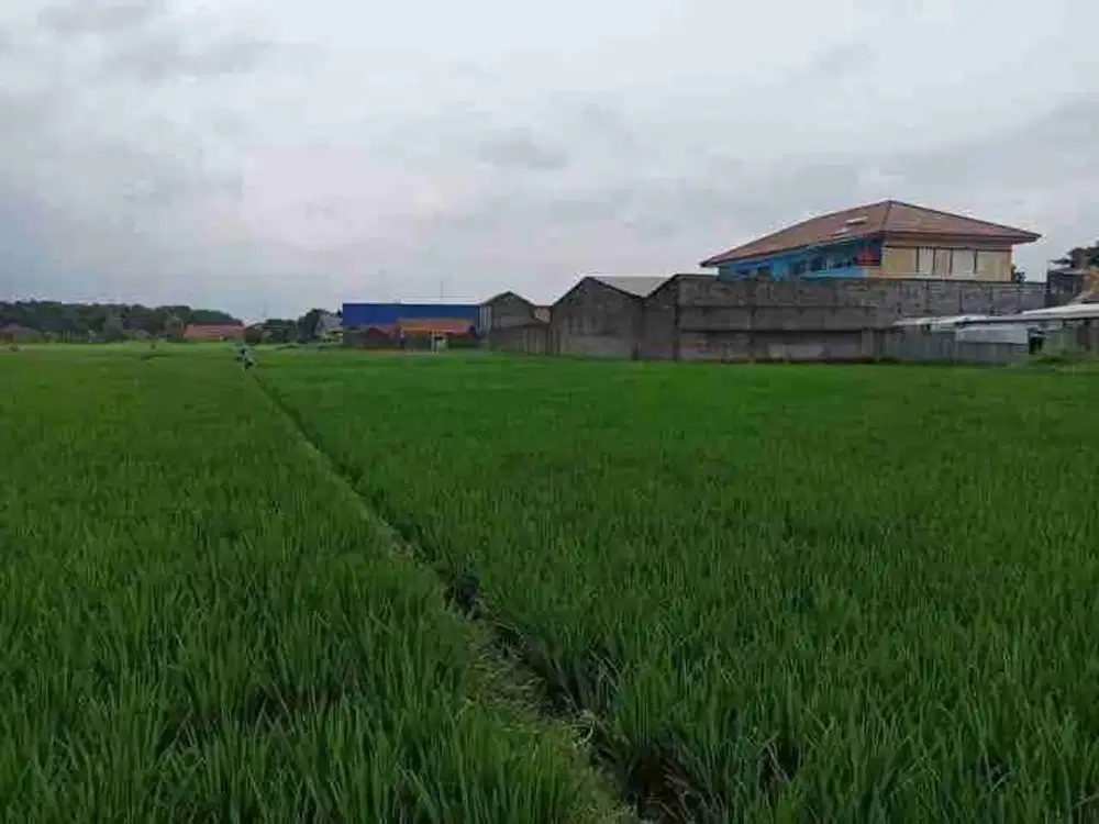Tanah Sawah Hanya 4 Km Dari Tol Cileunyi Bandung