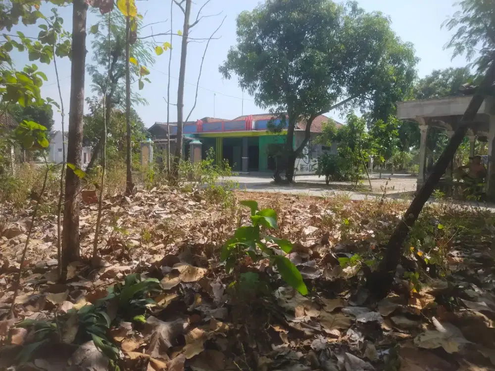 Dijual Tanah : Kalau ada TANAH INVESTASI yg murah, kenapa cari yg mahal?