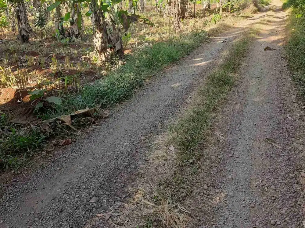 Kebun murah 17.360 m2 Harga 90rb/m2 Sumedang