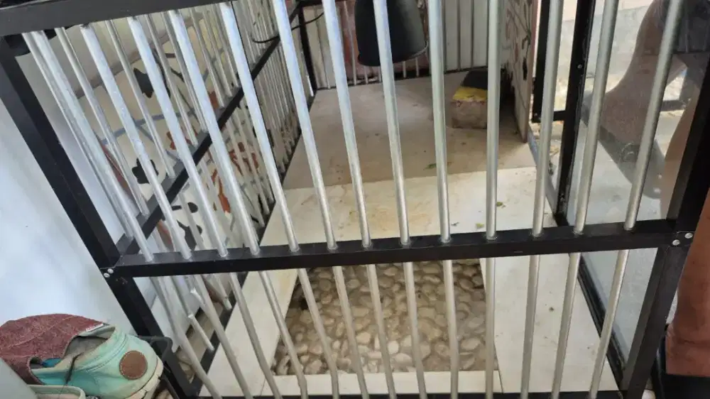 Jasa perbaikan kandang kucing alumunium