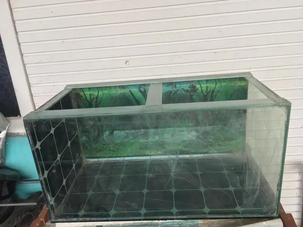 Aquarium bekas masih bagus