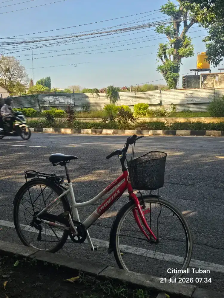 Jual sepeda phoenix