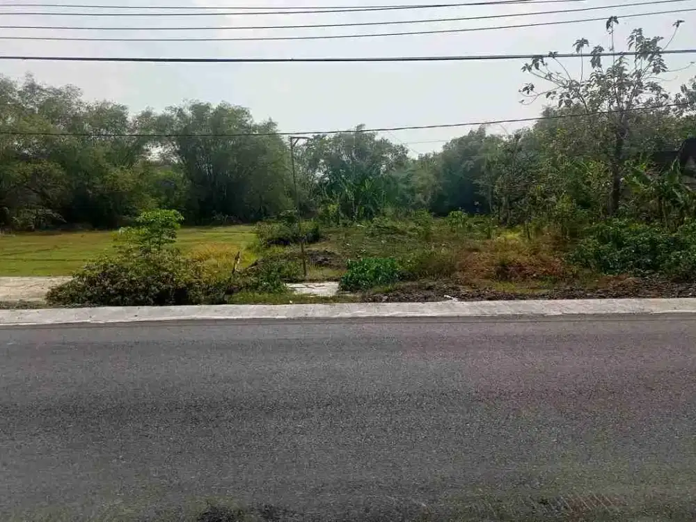 Tanah Ngawi