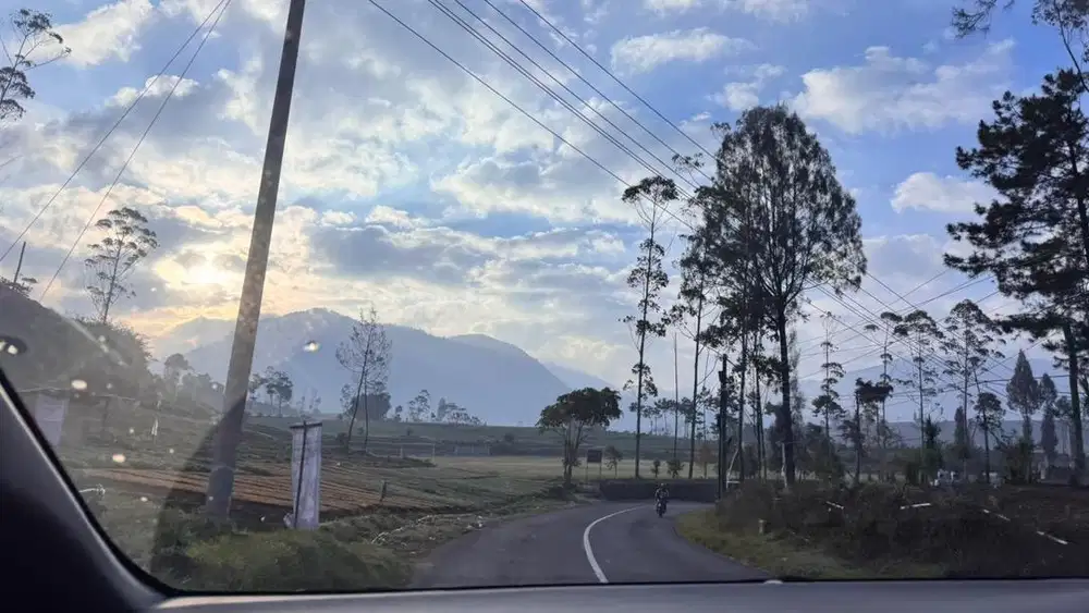 Dibutuhkan segera driver