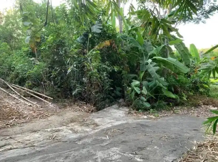Tanah Berlimpah Air Dekat Jalan Raya Provinsi