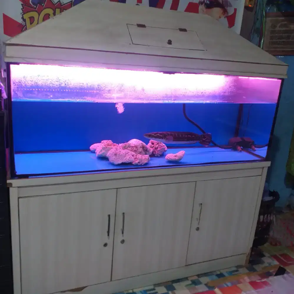Set Aquarium P 150×50×50 dan Aquarium P 70×30×30+Kabinet+Lampu+filter