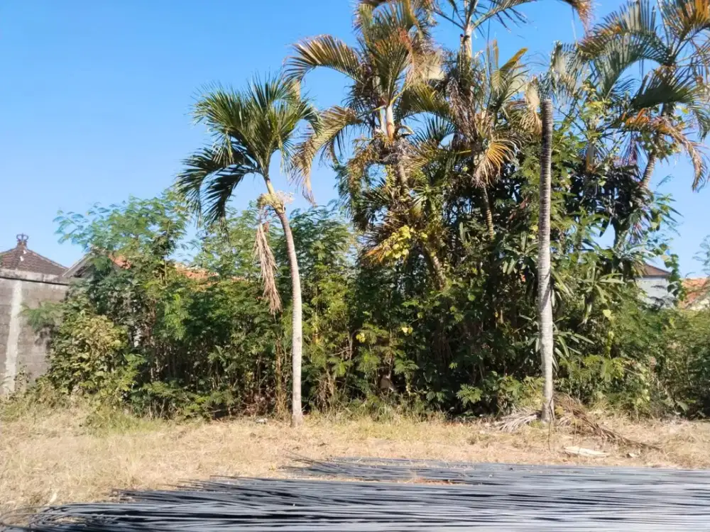 TANAH KOSONG PREMIUM DAN EKSKLUSIF DI BENOA KUTA SELATAN KAWASAN PERUMAHAN