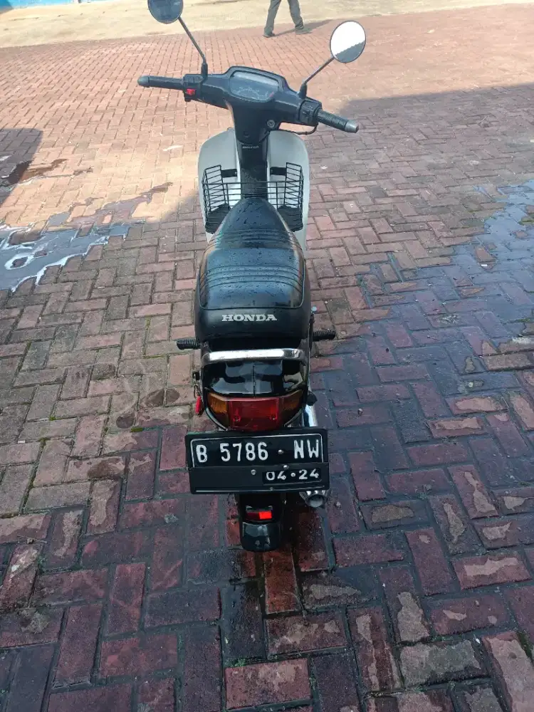 astrea grand bulus 1992