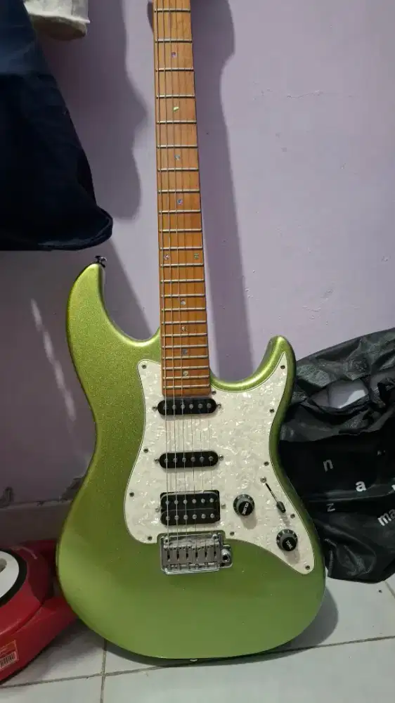 Gitar sire lary carlton