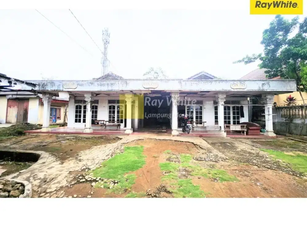 Dijual Tanah di Hajimena, Natar, Lampung Selatan (Kode : JX 3630)
