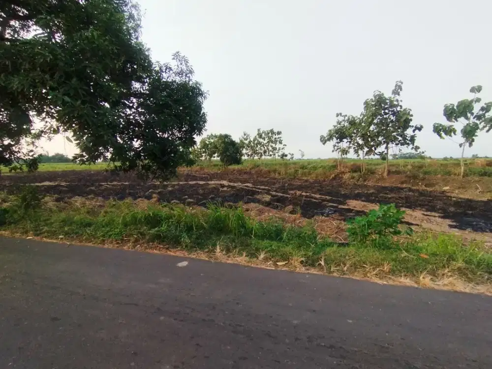Dijual Lahan Jalan By Pass Trowulan