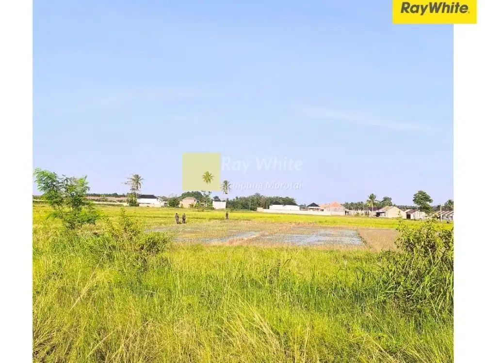 DIjual Tanah di Jatimulyo, Lampung Selatan (MH 3633)