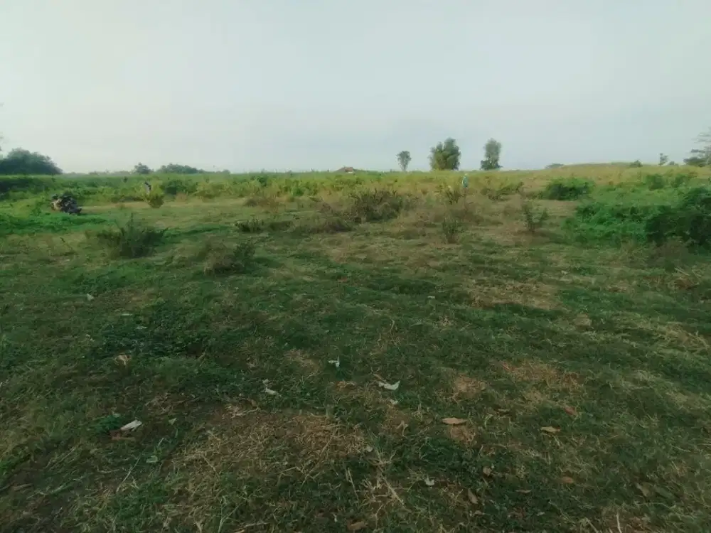 Dijual Lahan Lengkong Mojokerto