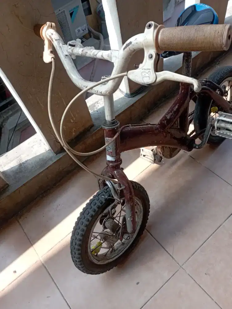 Sepeda wimcycle