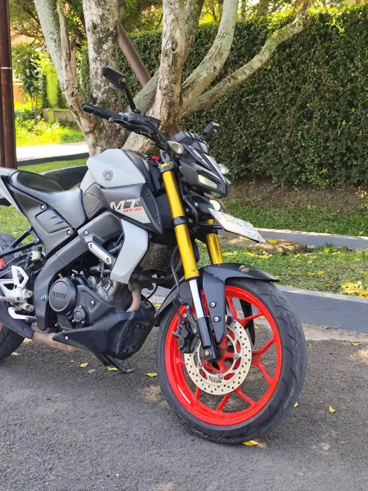 Yamaha MT15  naked bike