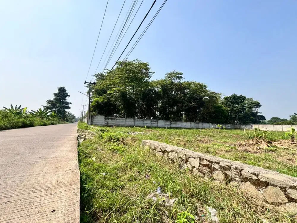 Tanah Murah Pinggir Jalan Cisauk Dekat Stasiun Jatake BSD