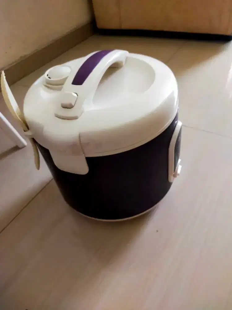 Rice cooker ozone