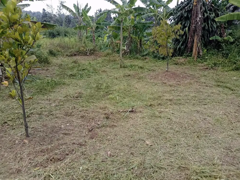 Tanah view kota bogor dan gunung murah