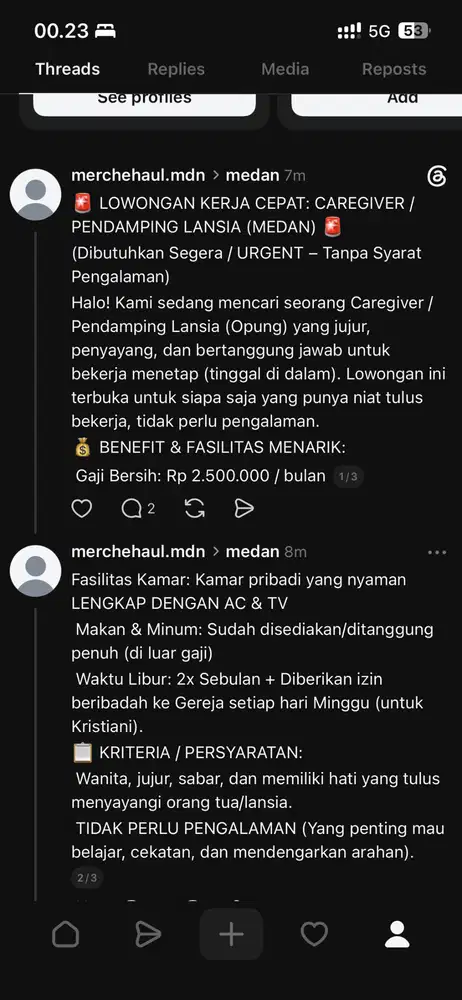 Lowongan Kerja Care Giver