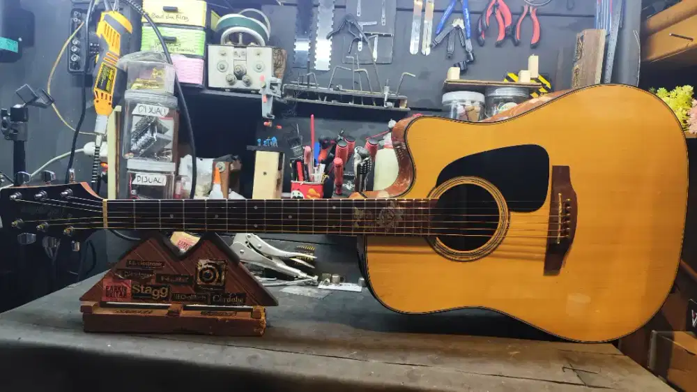Gitar akustik takamine D Series