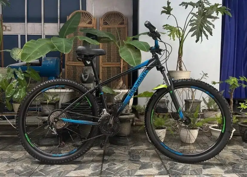 Polygon Premier 4 2020