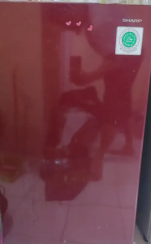 Kulkas Sharp 1 Pintu