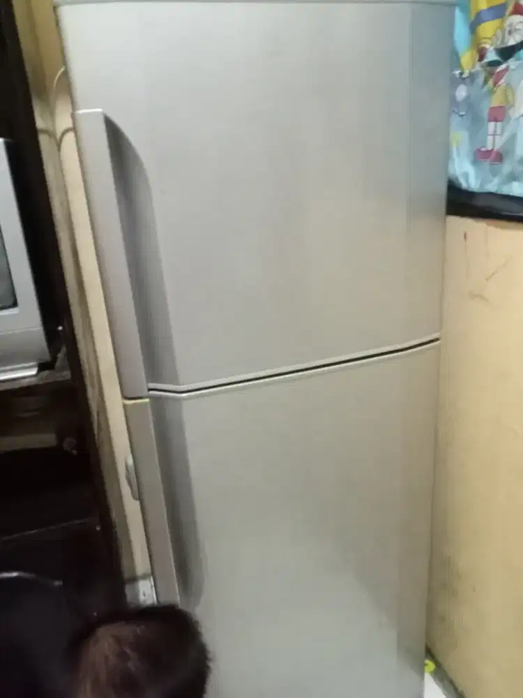 Kulkas LG 2pintu