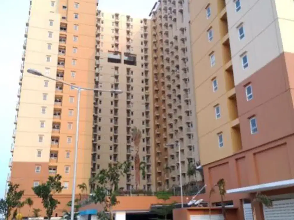 apt green palm rapi dan bersih