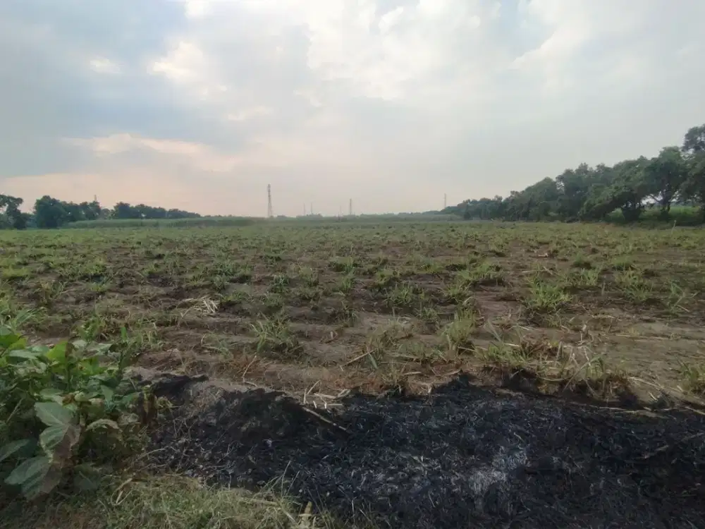 Dijual Lahan Lengkong Mojokerto
