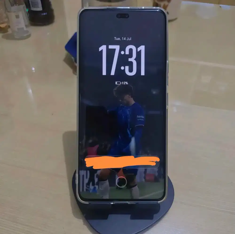 Honor 300 pro 12/512