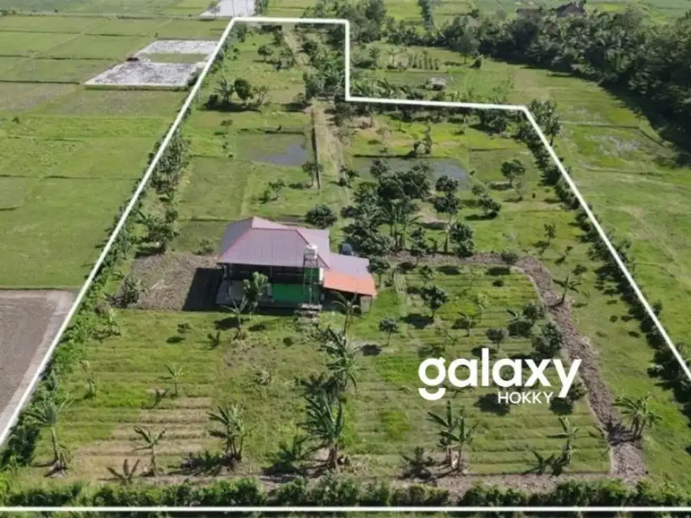 PRIVATE ECO ESTATE FOR SALE IN NEGARA