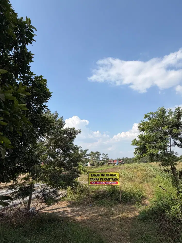 Lahan sawah zona kuning